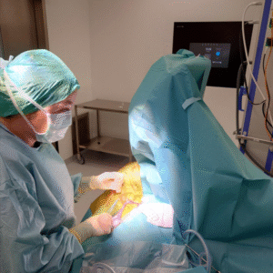 Owner information prior to soft tissue surgery